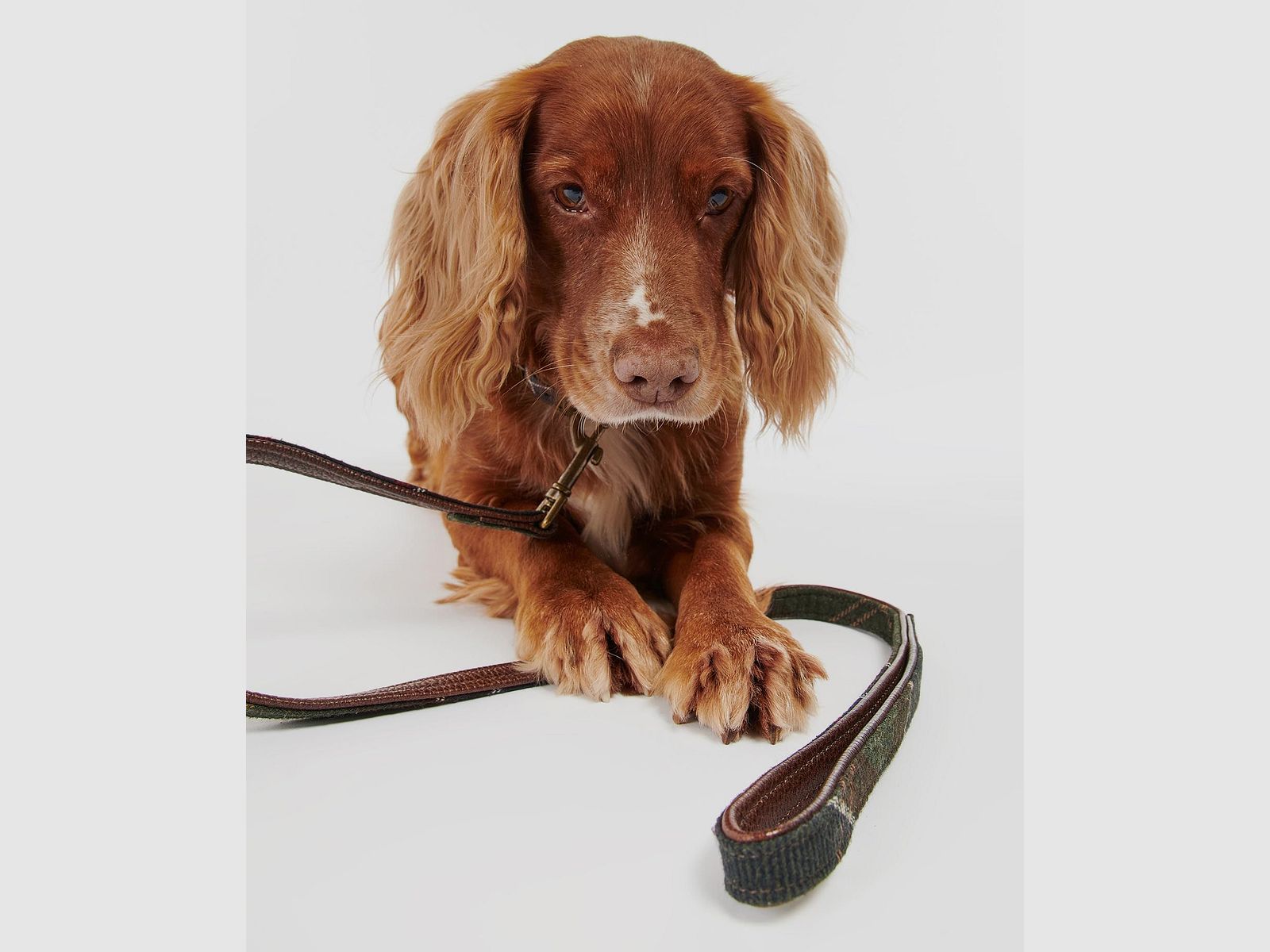 Barbour Hundeleine Tartan