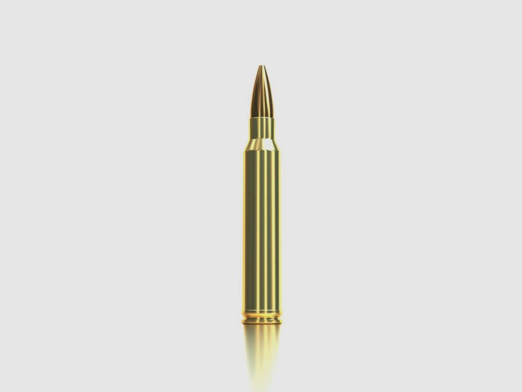 S&B .300 Win. Mag. HPBT 10,9g/168gr, Bild 4 von 4