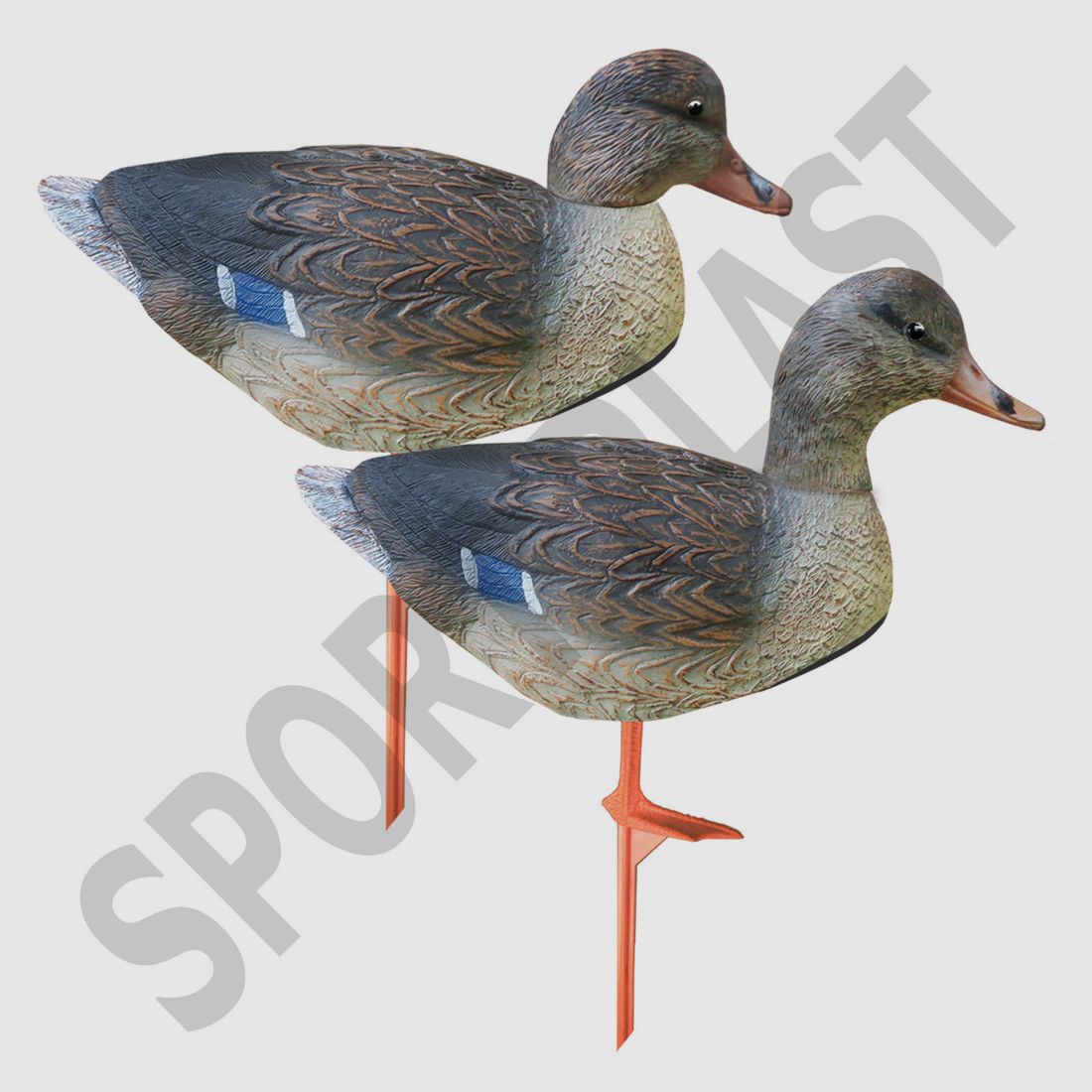 Femme Canard à Coquille