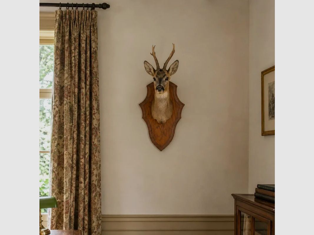 Badge hunting trophy roe deer dark oak waxed 29x19 cm, image 1 of 5