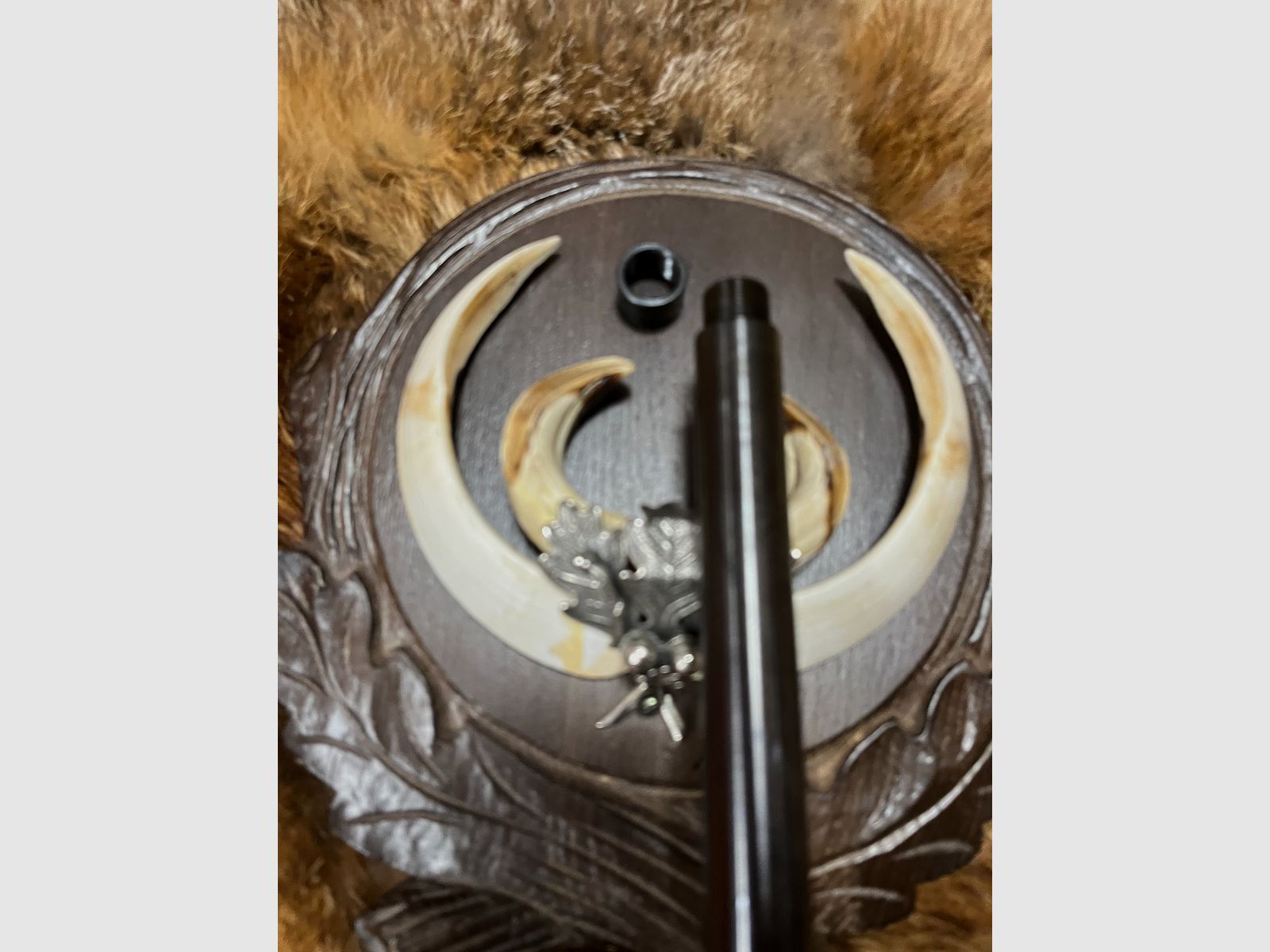 SteelAction HS Geradezug , Bild 6 von 6
