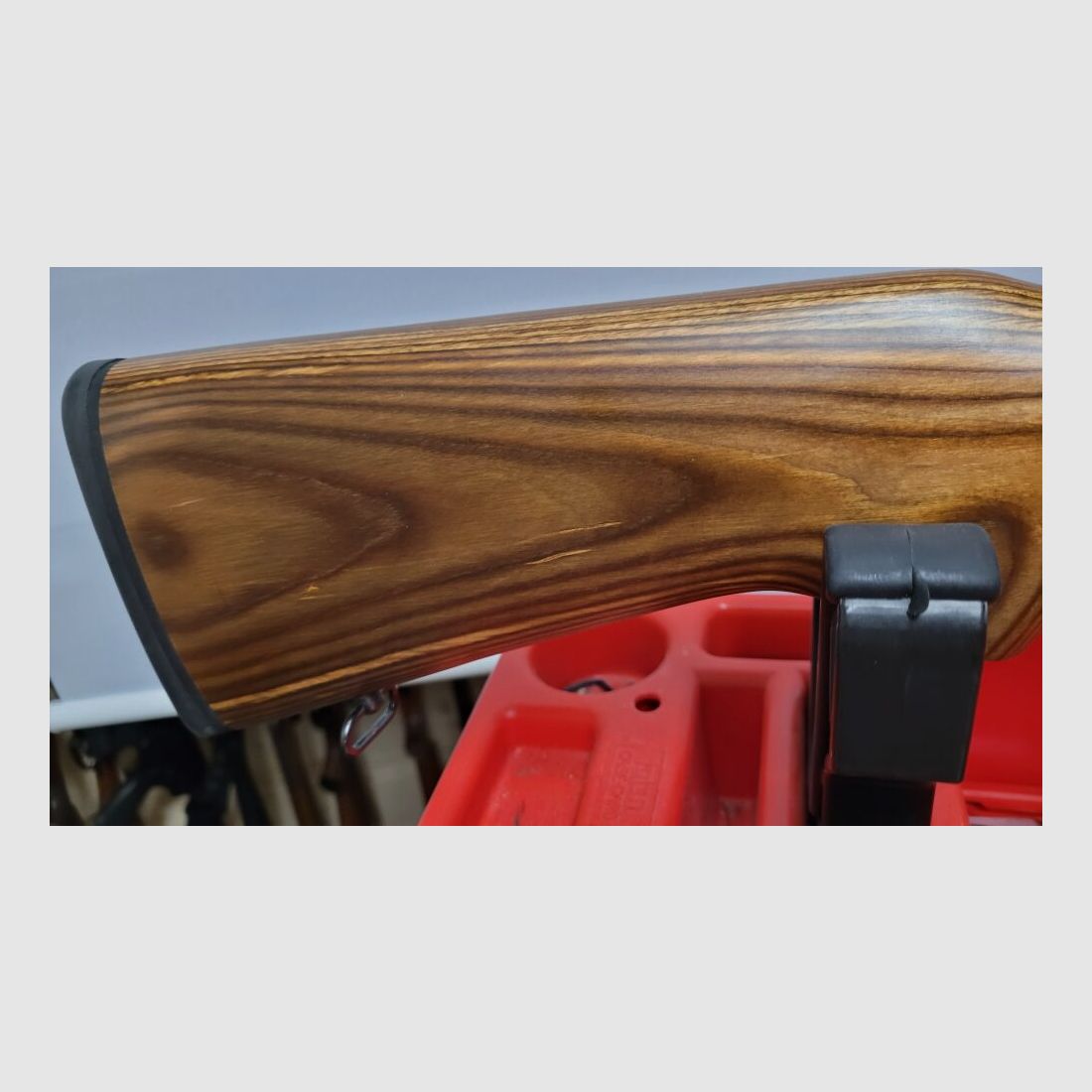 Ruger 10/22