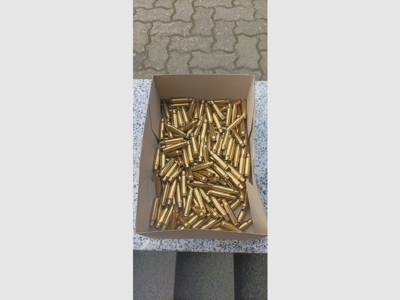 Hülsen 308 Federal ( selbes Los )