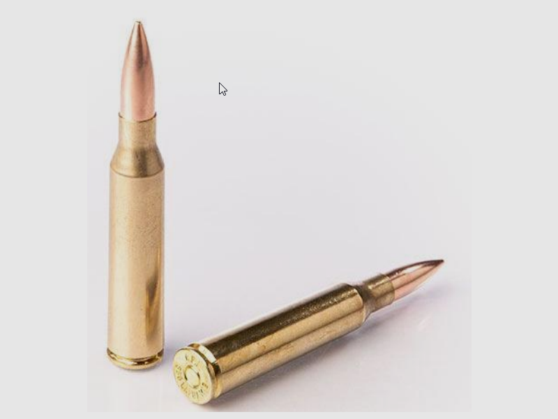 Fiocchi .338 Lapua Magnum Solid 240gr