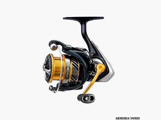 DAIWA – 19 REVROS LT 2500