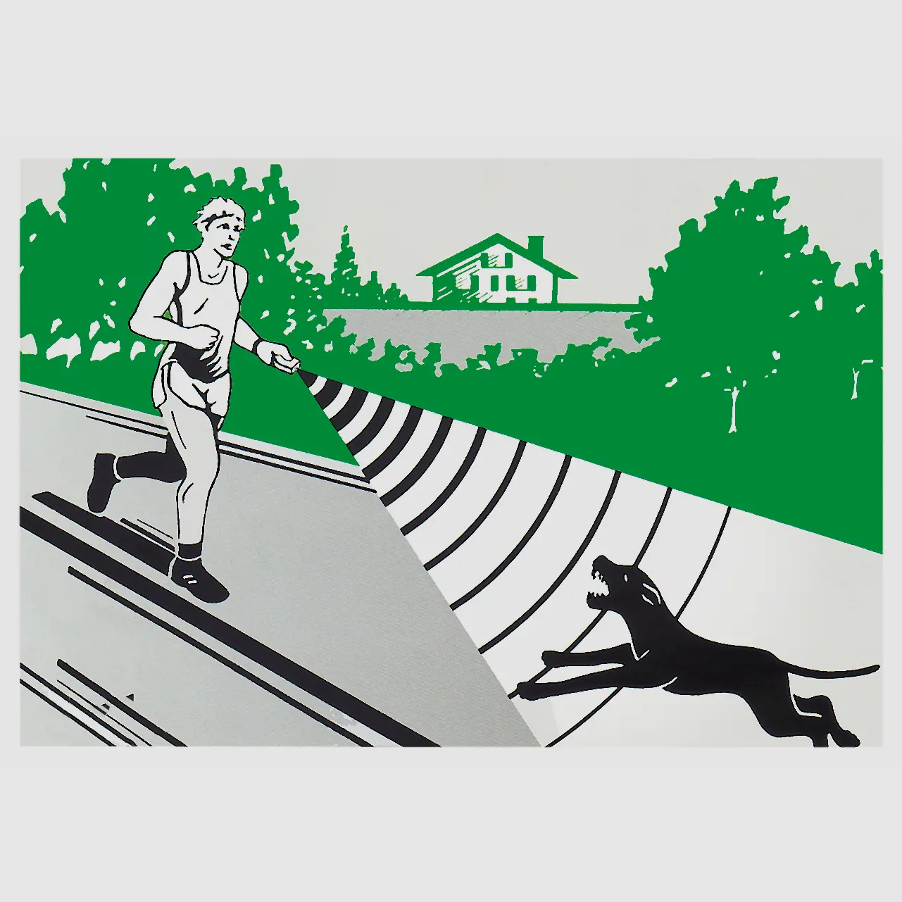 Dazer 2 Hundeabwehrgerät