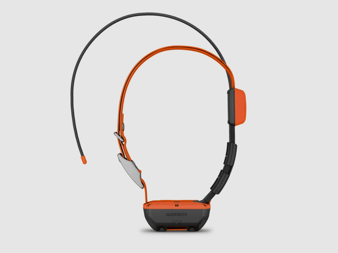 Collier GPS pour chien Garmin Alpha T 20 K