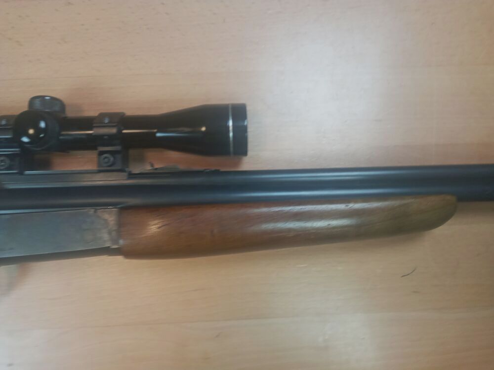 Savage Modell 24