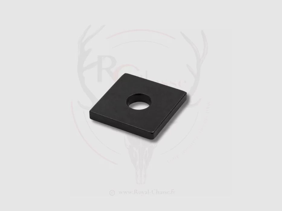 Binario per SR SWAROVSKI BLASER, immagine 1 di 4