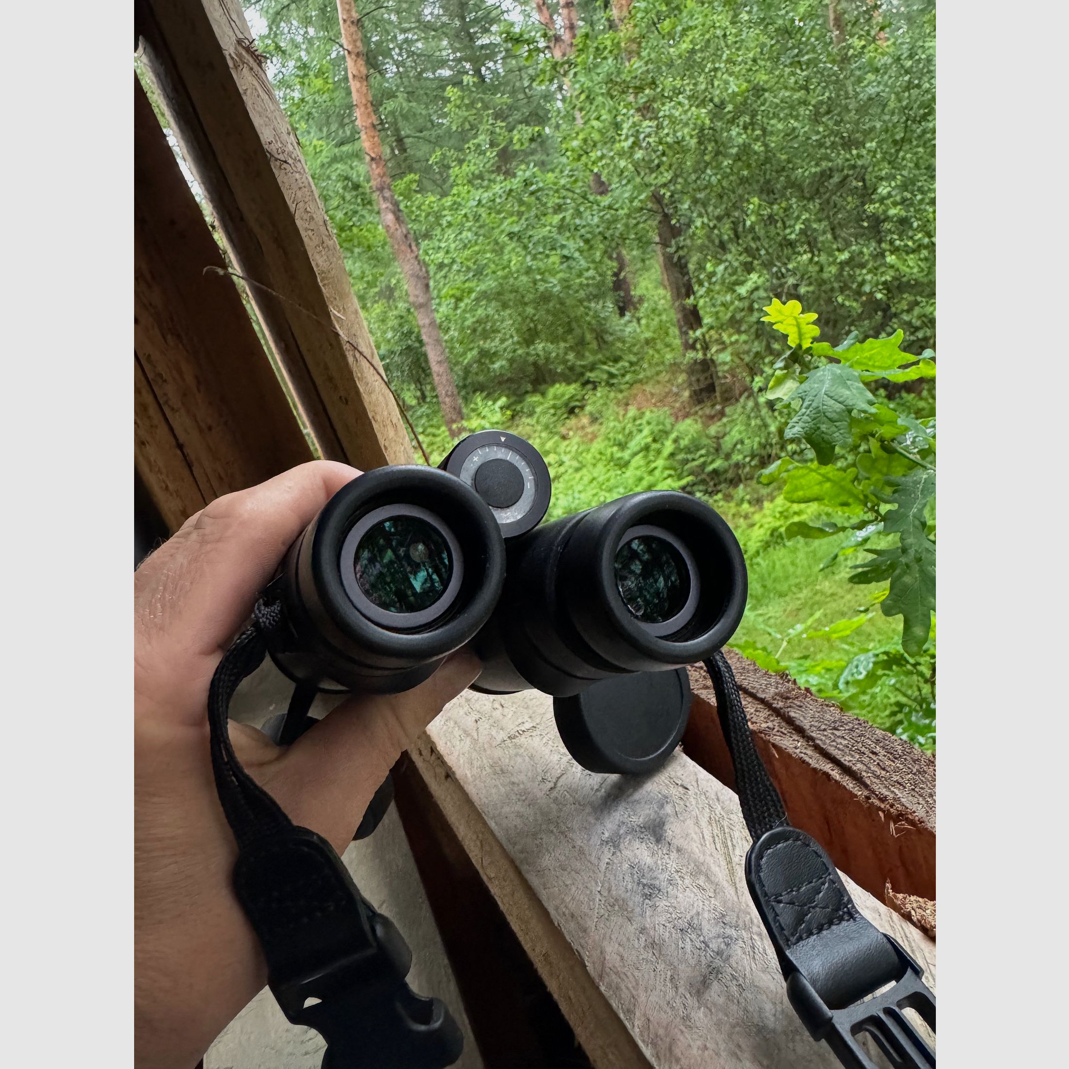 Leica ultravid hd 10&42