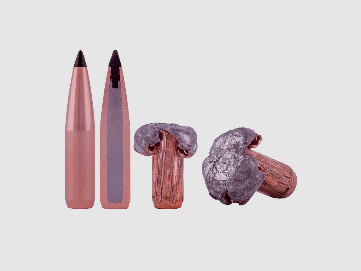 Büchsenmunition FEDERAL Swift Scirocco II - Kunststoffspitze, Bild 2 von 5