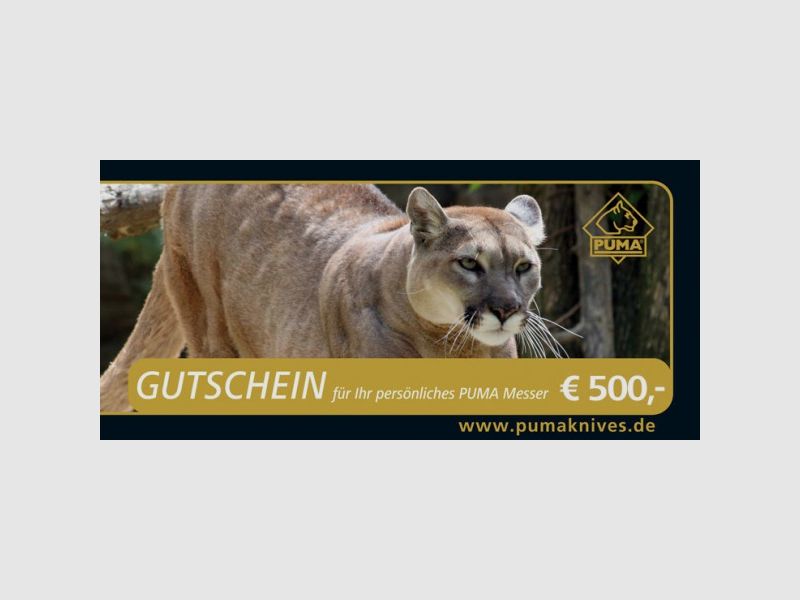 Geschenkgutschein: Wert 500,00€