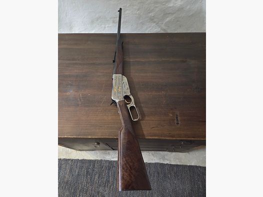 Lever-action repeater 30-06