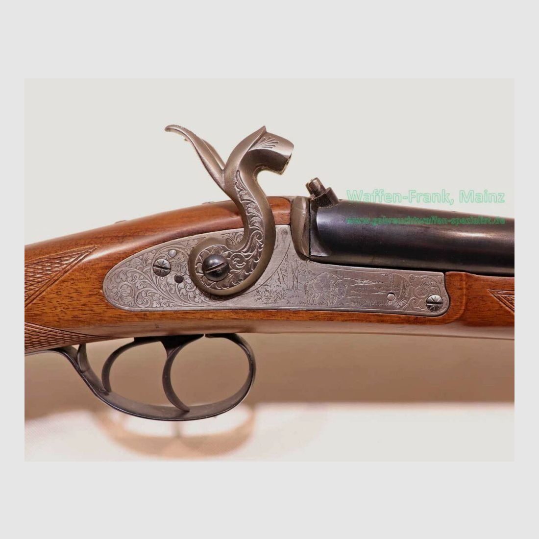 Zoli - Modèle italien Kodiak