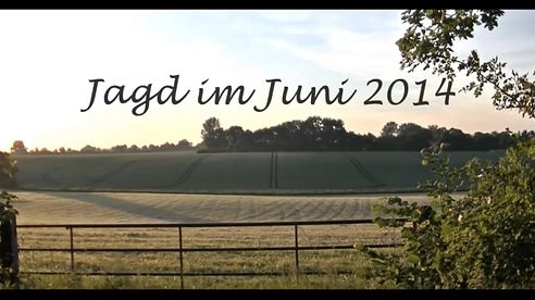 Jagd Juni 2014