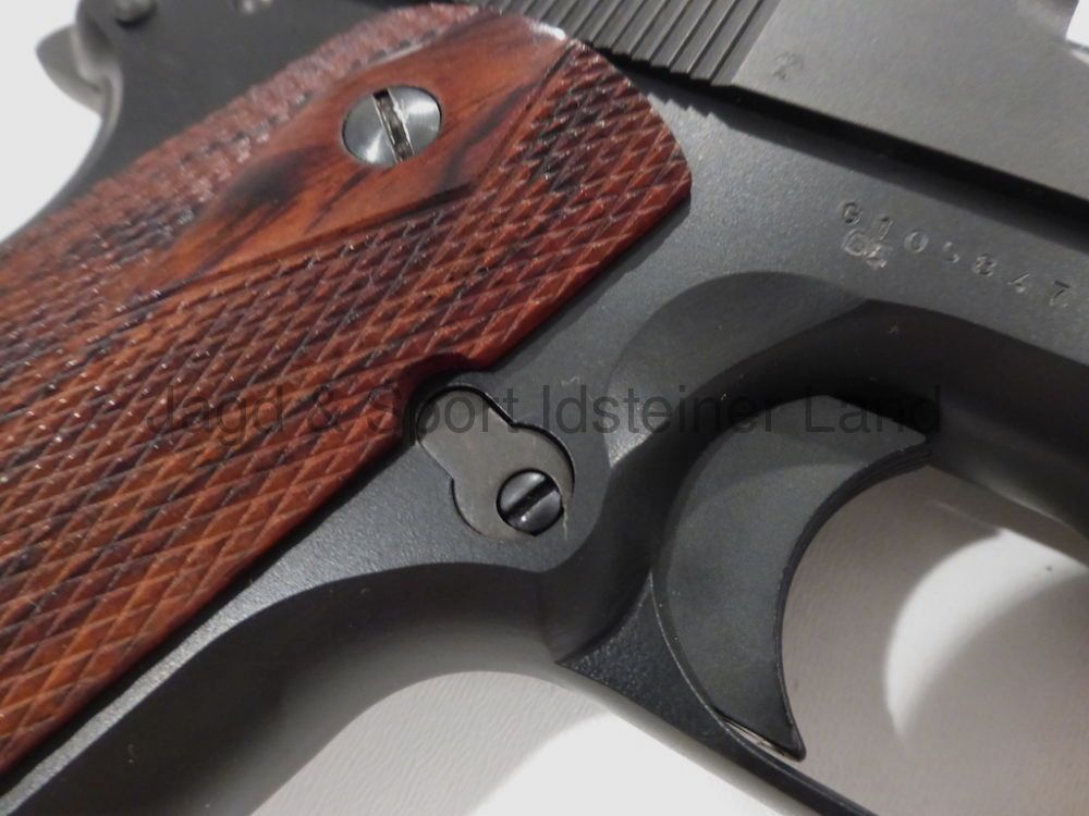 Para Ordonance GI Exp "Wild Bunch" SA