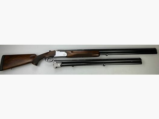 Rottweil Trap Montréal