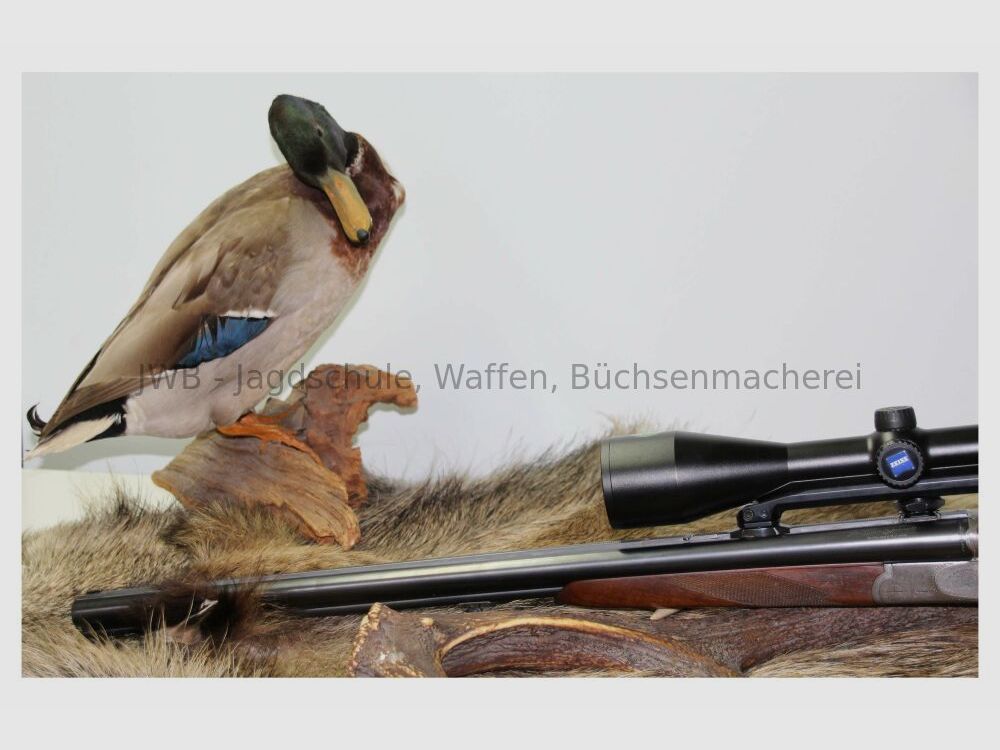 Sauer & Sohn mit Zeiss Victory Varipoint und mündungslangen ESL 8x57JRS;16/70;.22Hornet