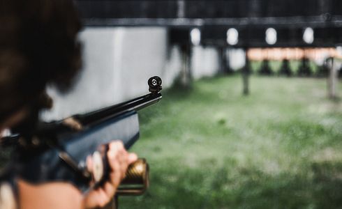 Kaliber .22 lfB (.22 LR): Ballistik, Einsatz und Waffen