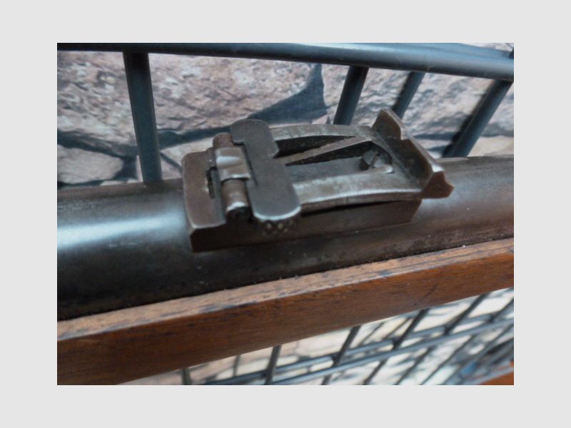 Martini-Henry in .22LR