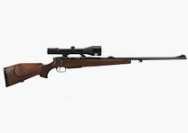 Steyr Luxe