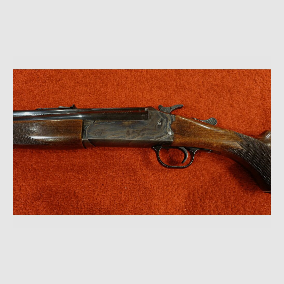 Savage unbekannt .22lr;.410/76