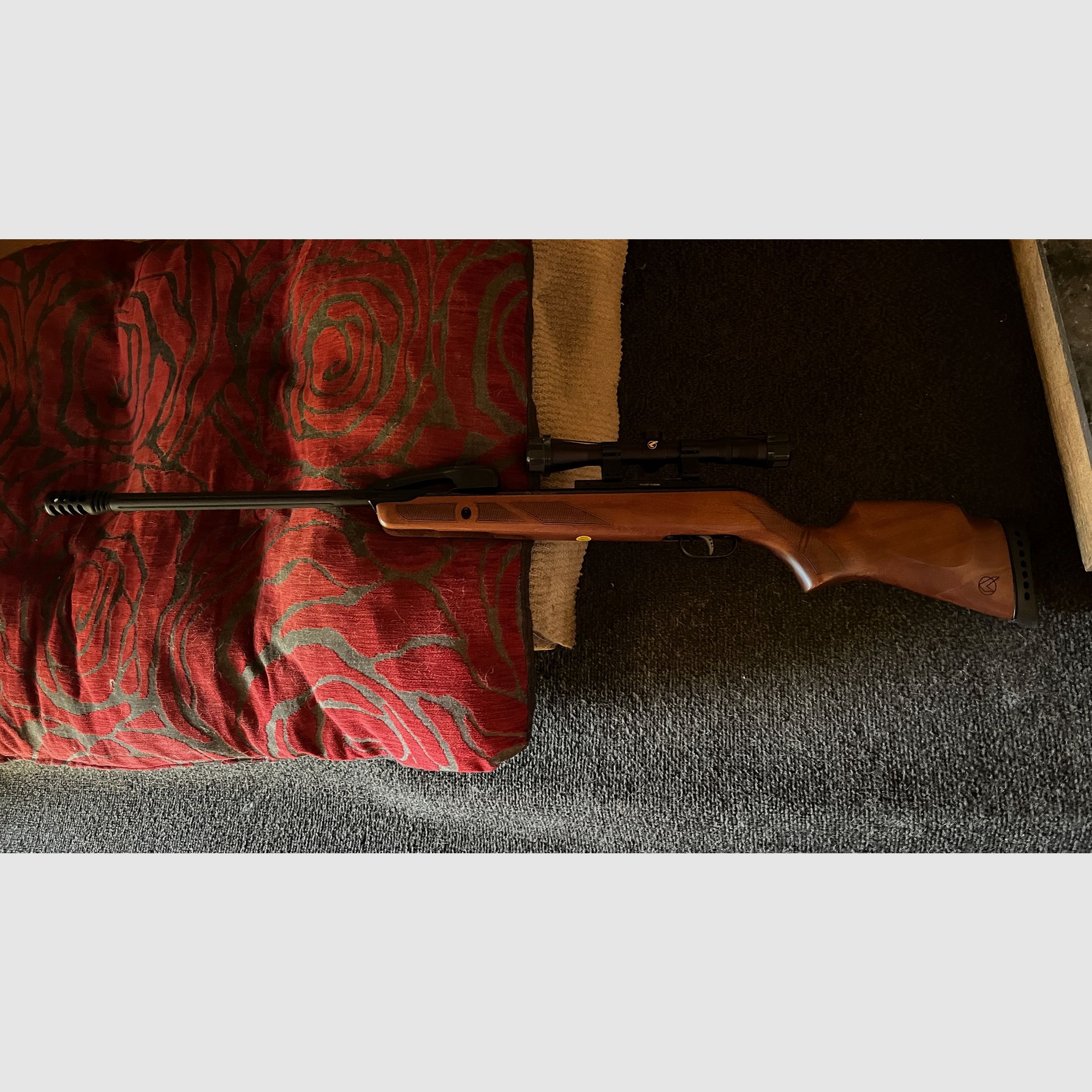 Diana LP8 und Gamo Luftgewehr