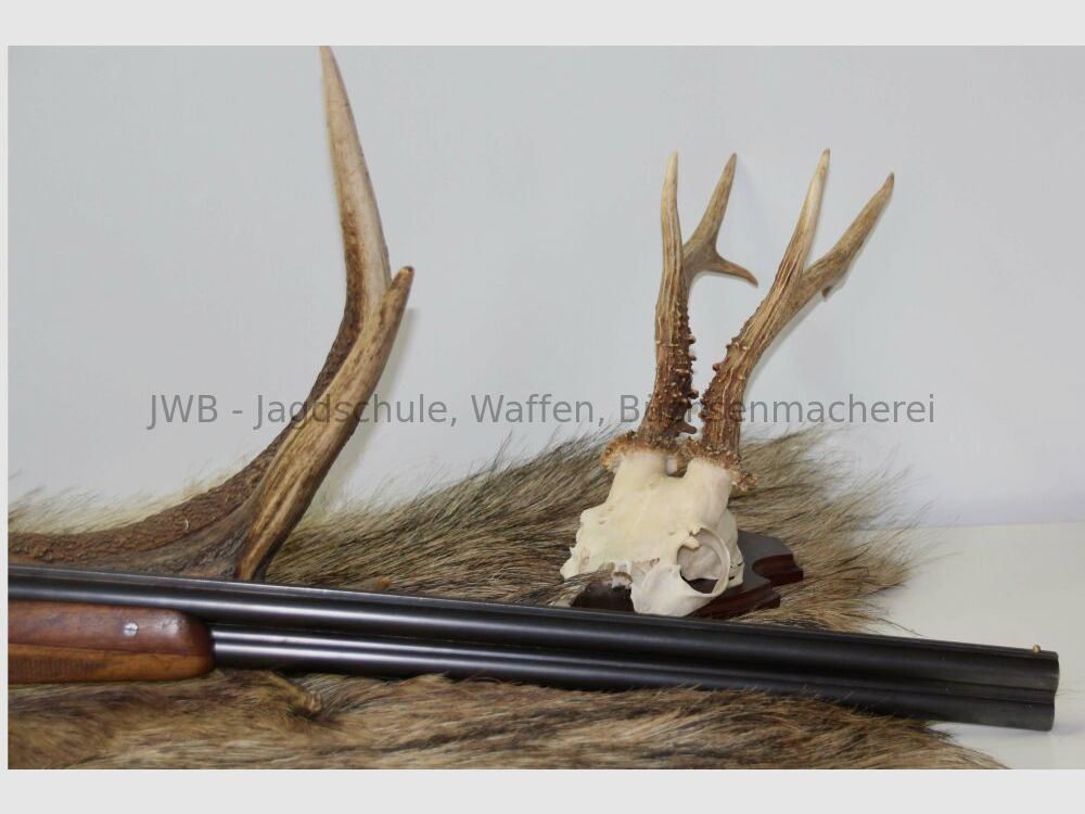 Light and manageable Merkel shotgun 16/70