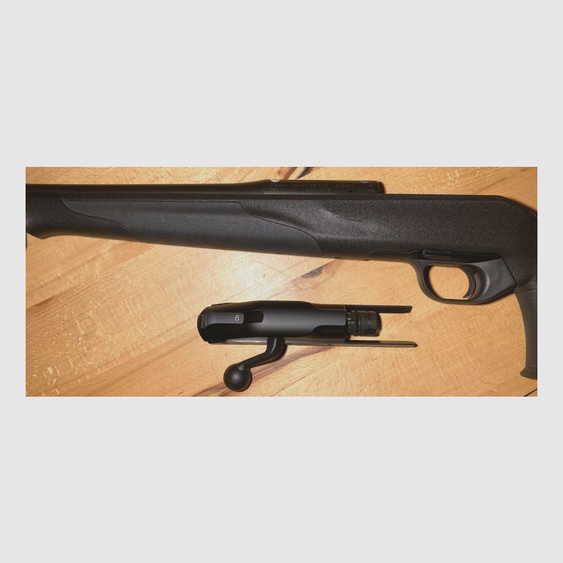 Blaser R8 Professional Success