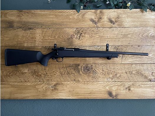 STEEL ACTION HS .308Win