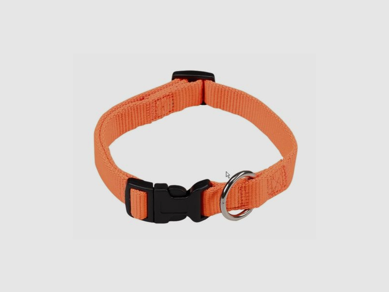 Signalhalsband Neon aus Nylon, verstellbar bis 45cm Halsweite