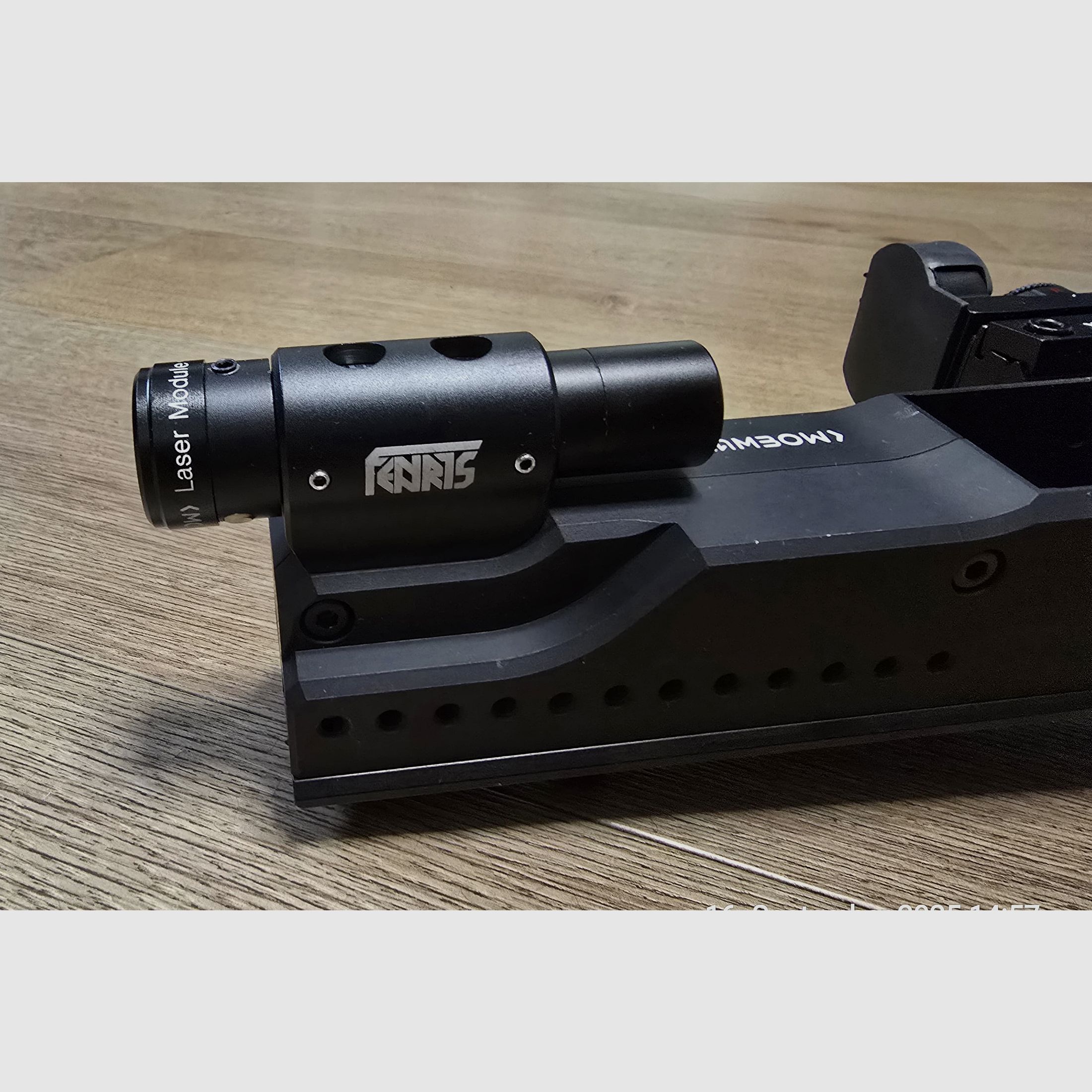 Steambow Fenris with magazine, Reddot, and laser