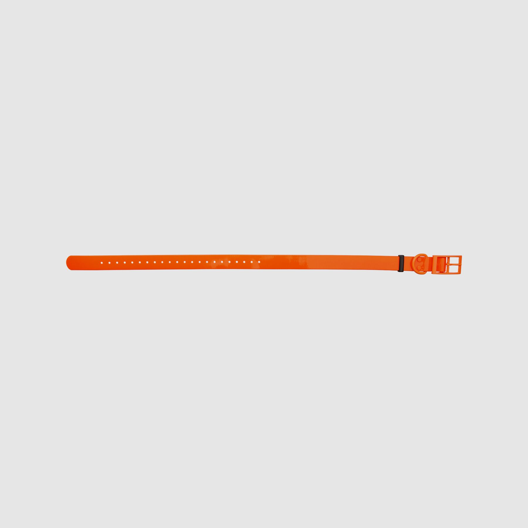 HP&G Dog Collar 25mm Orange