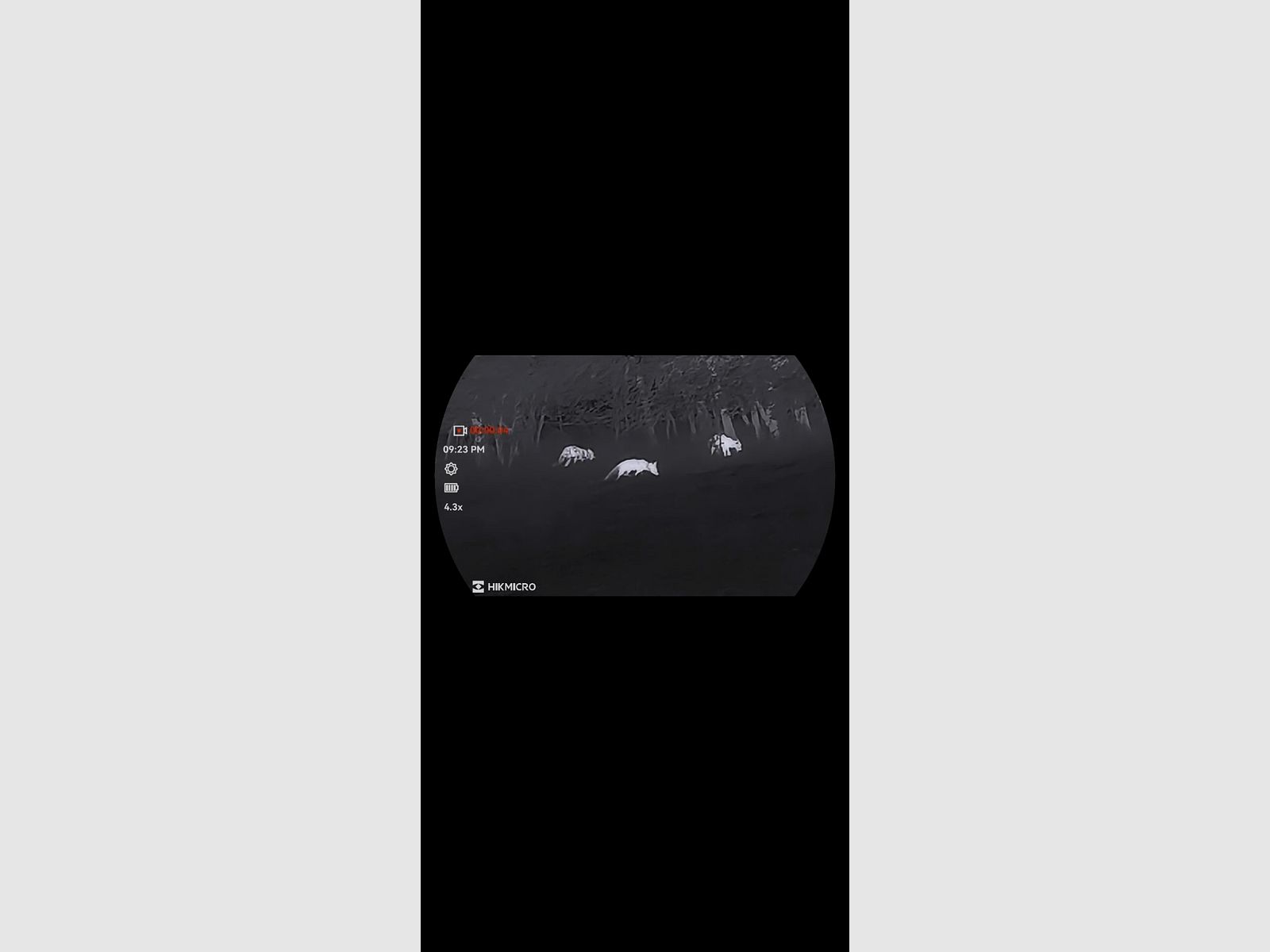 Hikmicro Habrok 4K HE25L 2.0 visor térmica, imagen 7 de 8