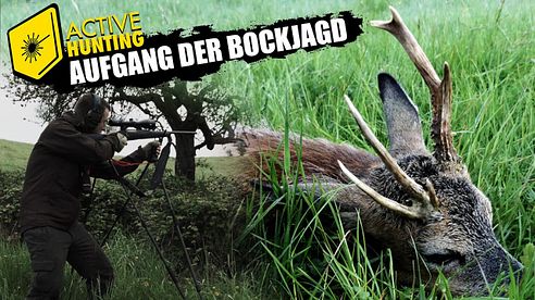 BOCKJAGD 2024 I Der abnorme und der Jährling I Roebuck hunting in Germany