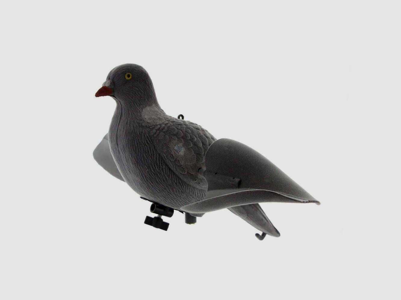 Appelant pigeon ailes tournantes, image 1 sur 2