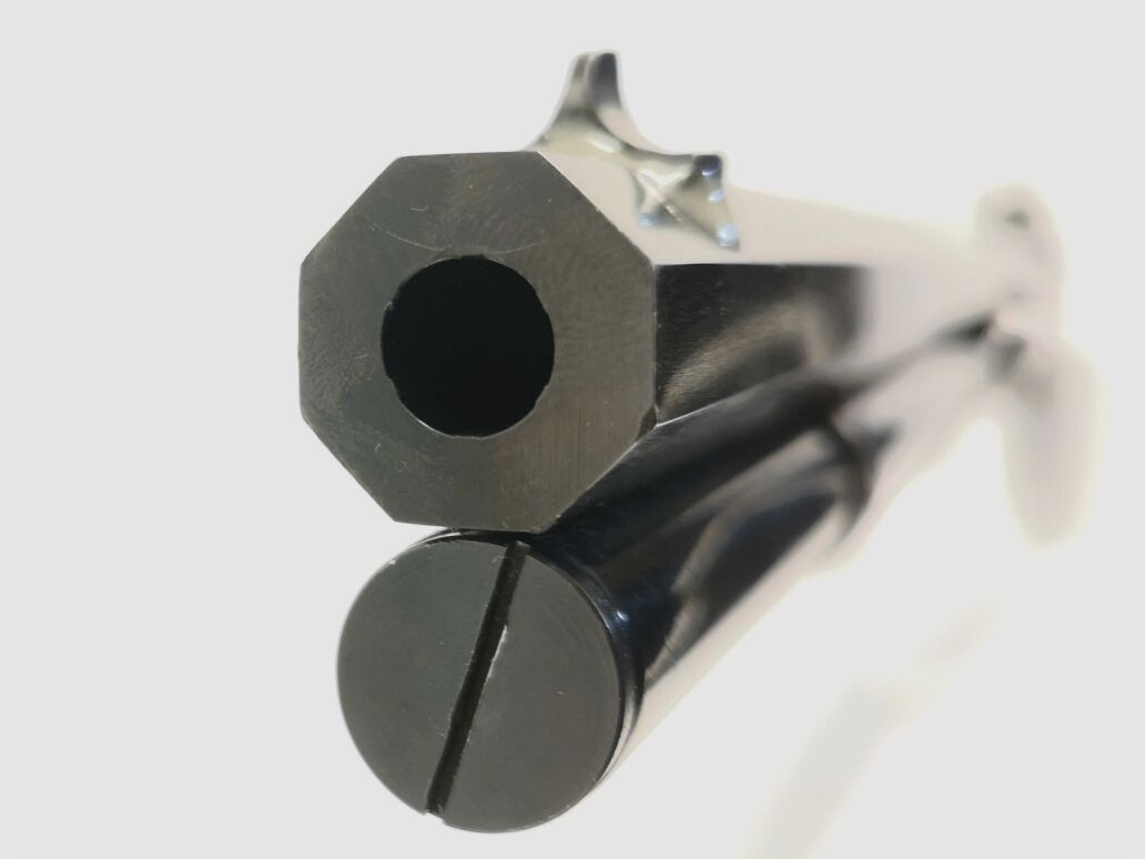 Hege-Uberti 1873