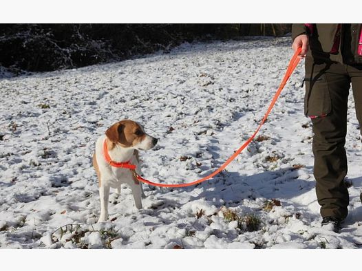 Rüdemeister - Leash 2 m BioThane 16 mm