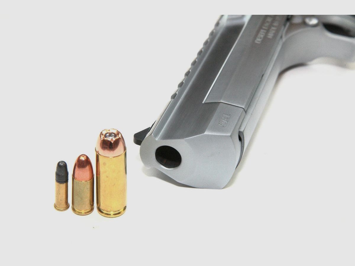 Magnum Research Desert Eagle XIX, Bild 4 von 9