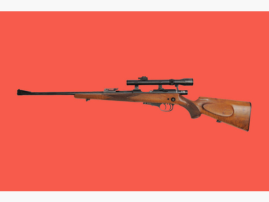 Walther avec lunette