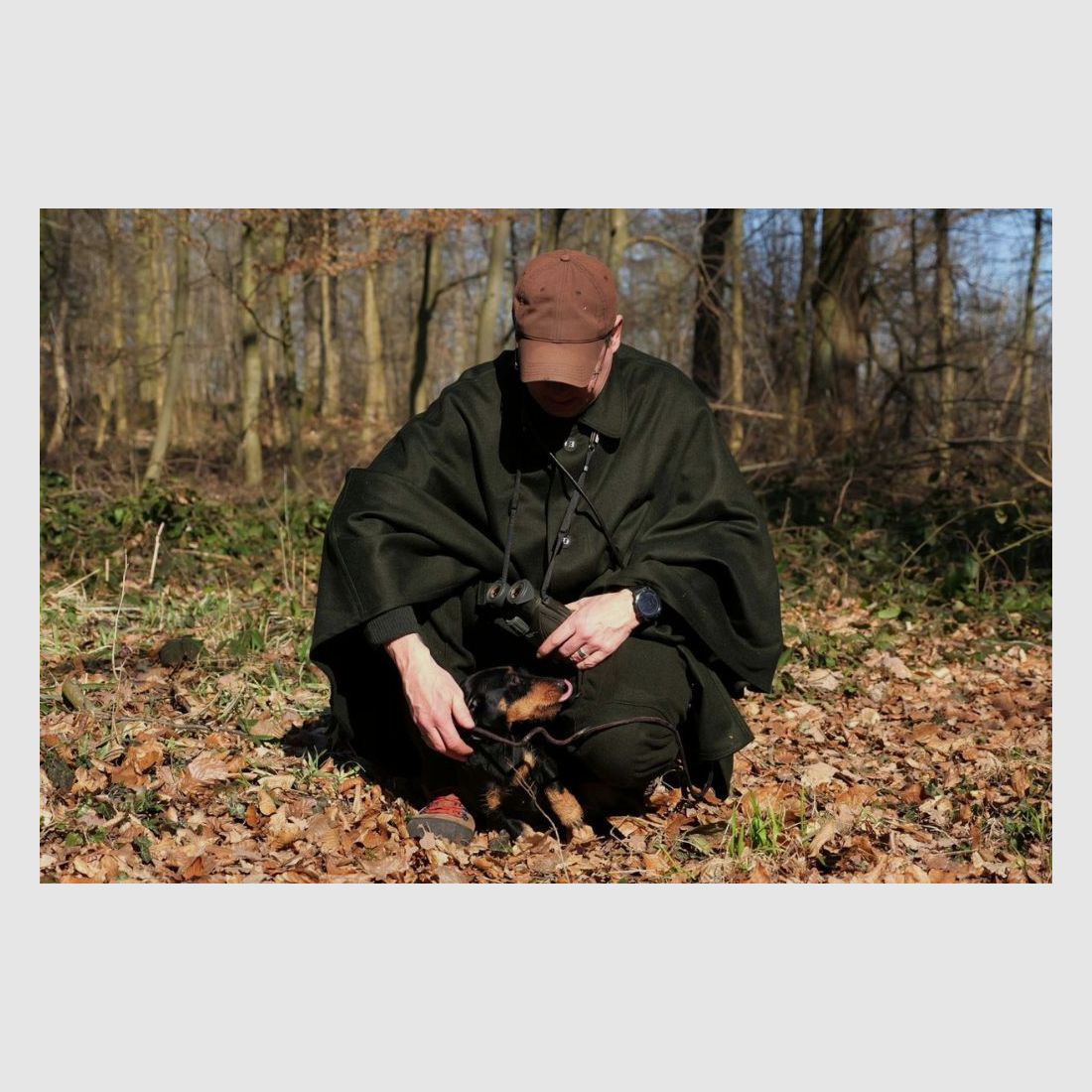 CANE DA CACCIA Macchia meteo Altach, immagine 5 di 5