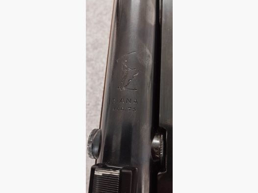 Diana 75 Matchgewehr mit verstellbarem Ringkorn und  schwarzen Futteral 