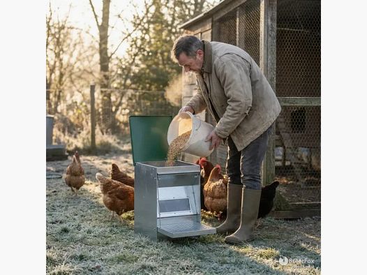 Mangiatoia a tramoggia Rooster da 5 kg anti-infestanti – acciaio zincato per pollame