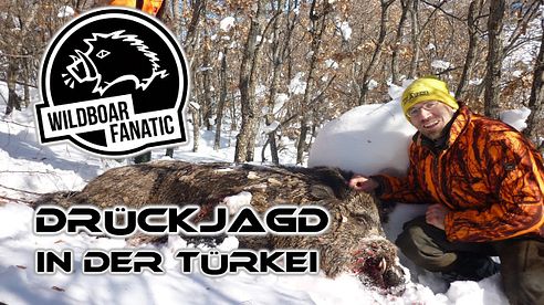 DRÜCKJAGD - TÜRKEI 2014 | DRIVEN WILD BOAR HUNT