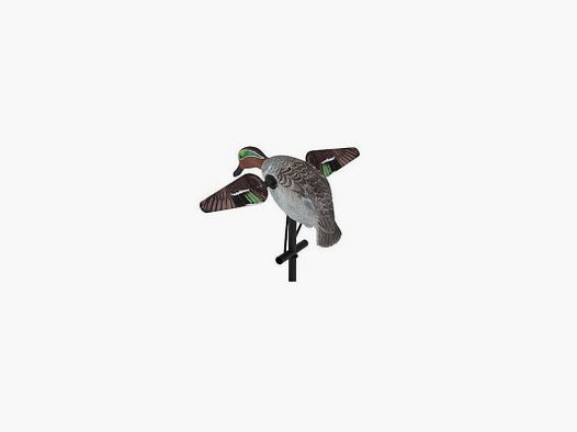 Alzavola ad ali rotanti Lucky Duck Teal HD