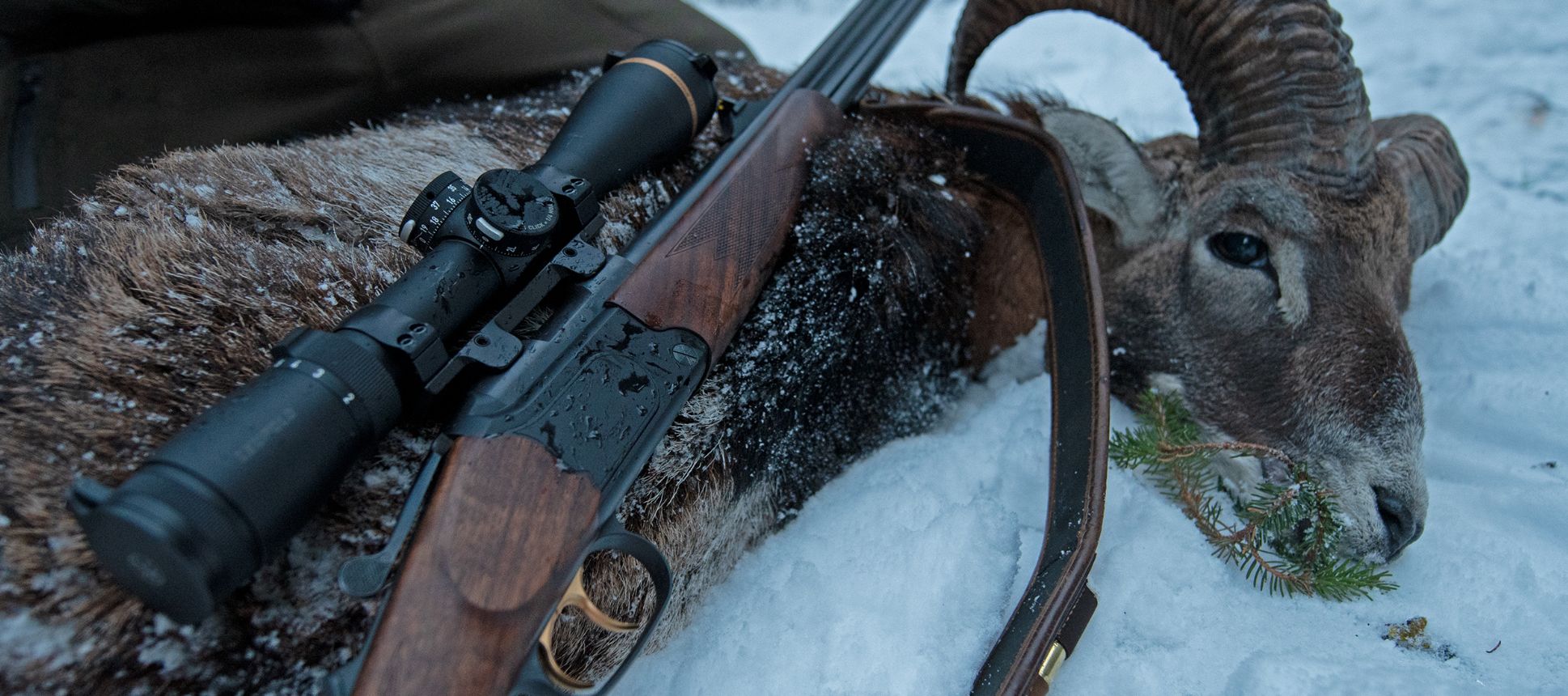 Bergstutzen - eine vielseitige Waffe für anspruchsvolle Jäger
