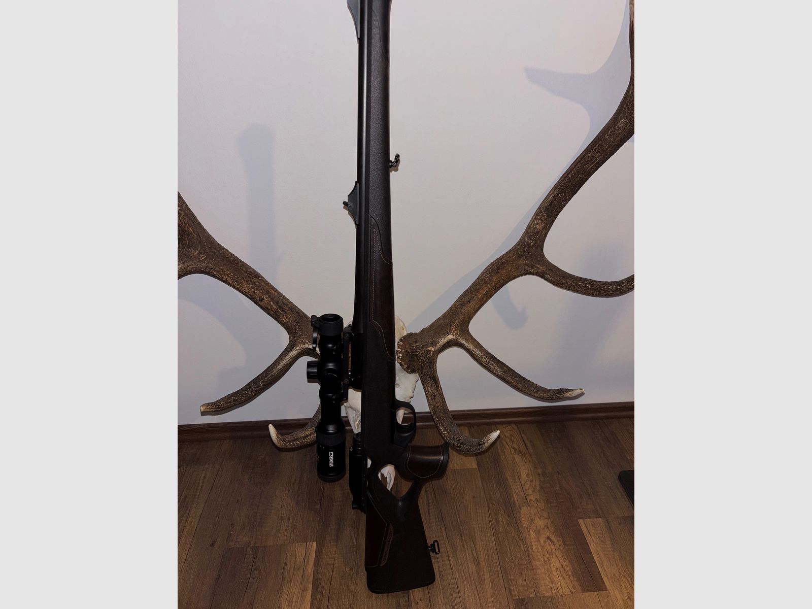 Blaser R8 cuero soporte / ÉXITO profesional.
