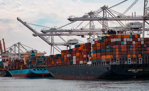 Transport of Weapons and Ammunition