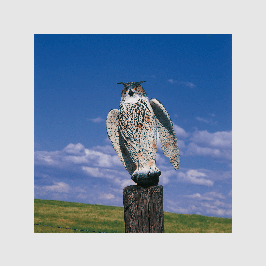 Hüttenuhu mit beweglichen Schwingen