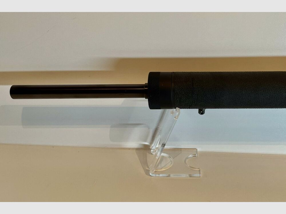 SIG Sauer Target .22lr